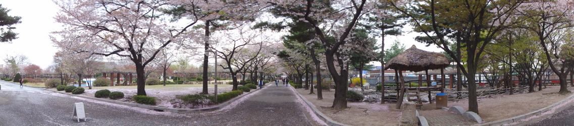 [DSC-WX1] 149.jpg